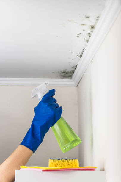 Best HVAC Mold Inspection and Cleaning  in De Motte, IN